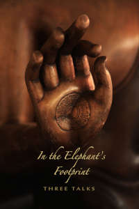 In the Elephant’s Footprint thumbnail